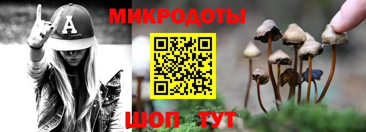 Галлюциногенные грибы MAGIC MUSHROOMS  Галлюциногенные грибы MAGIC MUSHROOMS  Вход с VPN  Прокопьевск 