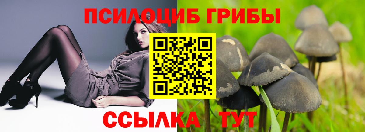 Героин  NBOMe  MDMA  Марихуана  Меф   Вход с VPN  ГАШ  ГАШИШ  Кокаин  Марихуана  Прокопьевск  Cocaine 